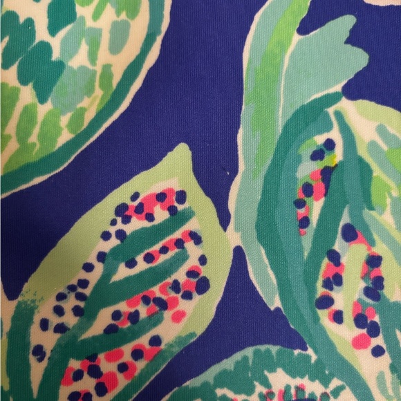 Lilly Pulitzer Dress - Picture 2 of 3